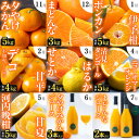 【ふるさと納税】【発送月固定定期便】「こたつの上の冬物語」驚異の全14種類!!【H49-75】全9回【4056043】