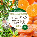 【ふるさと納税】【発送月固定定期便】愛媛の人気品種を厳選!みかん定期便(訳あり)【H25-171】全12回【配送不可地域:離島】【4056289】