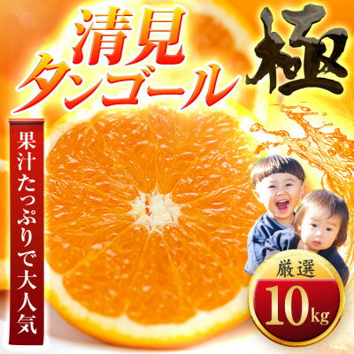 【ふるさと納税】【太陽をたっぷり浴びた】清見タンゴール【極】10kg【F49-53】【1509750】