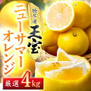 【ふるさと納税】【愛媛名産】玉宝ニューサマーオレンジ 4kg【C64-37】_ みかん ミカン 柑橘 日向夏 ニューサマーオレンジ フルーツ くだもの 果物 ふるーつ 青果 果実 甘い ジューシー 産直 産地直送 旬 柑橘類 人気 愛媛 果汁 【1510858】
