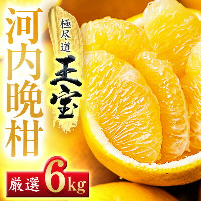 【ふるさと納税】【愛媛名産】玉宝河内晩柑 6kg【C64-53】_ みかん ミカン 柑橘 河内晩柑 晩柑 フルーツ くだもの 果物 ふるーつ 青果 果実 甘い ジューシー 産直 産地直送 旬 柑橘類 人気 愛媛 果汁 八幡浜市 和製グレープフルーツ 【1511221】