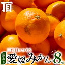 【ふるさと納税】【訳あり(家庭用)】三代目がつくる愛媛みかん 8kg【C31-40】_ ふるさと納税 みかん 愛媛 訳あり 不揃い 規格外 わけあり 蜜柑 柑橘 温州みかん ふるさと 人気 ランキング 【1556518】