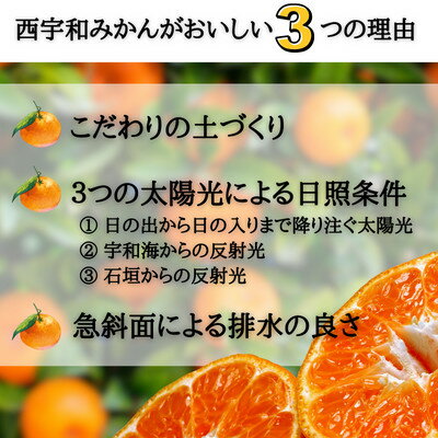 【ふるさと納税】JAにしうわの季節の柑橘(日の丸共選 「千兩」 約5kg)【D08-2】【1443243】