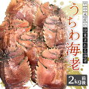 【ふるさと納税】 うちわ海老 2kg 前後 刺身 竹中水産 海老 エビ えび ギフト プレゼント 贈り物 送料無料 【H22-253】【配送不可地域：離島 北海道 沖縄県 東北 関東 信越 北陸 東海 九州】【1073910】