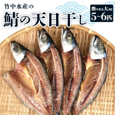 竹中水産の「鯖の天日干し」脂のある大き目を5〜6匹ご用意![C22-265][配送不可地域:離島]