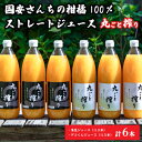【ふるさと納税】 みかんジュース 国安さんちの 柑橘 100