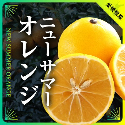 10位! 口コミ数「0件」評価「0」ニューサマーオレンジ　約7kg(ご家庭用)【C31-26】【1103591】