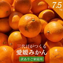 【ふるさと納税】三代目がつくる愛媛みかん 7.5kg【訳あり