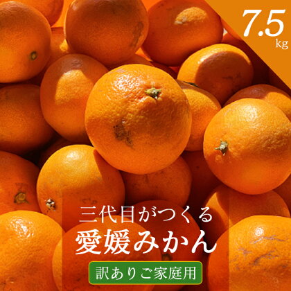 三代目がつくる愛媛みかん 7.5kg【訳あり(家庭用)】【C31-17】【1120067】