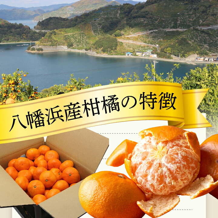 愛媛県八幡浜市の画像3