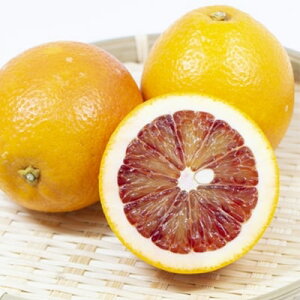 【ふるさと納税】小林果園のブラッドオレンジ(約5kg)【C24-24】【1124430】