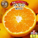【ふるさと納税】【2025年11月以降発送】みなの共選・特選「みなの(旧:媛美月)」約5kg【D28-1】_ みかん ミカン 柑橘 くだもの 果物 フルーツ みなの 媛美月 ジューシー 甘い 希少 常温 デザート 産地直送 産直 愛媛 人気 【1044600】