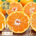 【ふるさと納税】国安さんちの愛媛ポンカン10kg【D20-4】【1094581】
