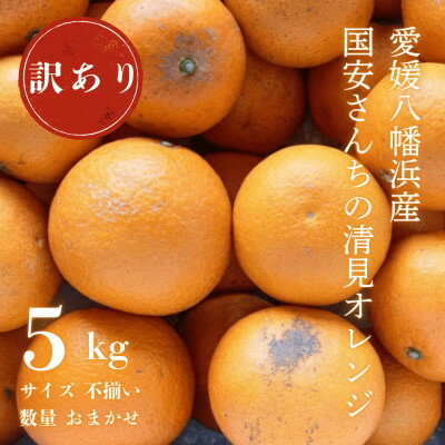 【ふるさと納税】【まるで食べるジュース!越冬完熟品】愛媛産 訳あり 清見オレンジ 5kg【C20-33】【1594859】 【ふるさと納税】【まるで食べるジュース!越冬完熟品】愛媛産 訳あり 清見オレンジ 5kg【C20-33】【1594859】