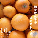 【ふるさと納税】【まるで食べるジュース!越冬完熟品】愛媛産 訳あり 清見オレンジ 10kg【F20-34】【1594861】