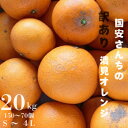 【ふるさと納税】【まるで食べるジュース!越冬完熟品】愛媛産 訳あり 清見オレンジ 20kg【H20-35】【1594863】