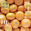 【ふるさと納税】【創業85年 親子4代 愛媛みかん 一筋】愛媛八幡浜産 極早生みかん 10kg【F20-44】【1594909】
