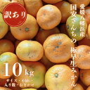 【ふるさと納税】【創業85年 親子4代 愛媛みかん 一筋】愛媛八幡浜産 訳あり極早生みかん 10kg【D20-47】【1594916】
