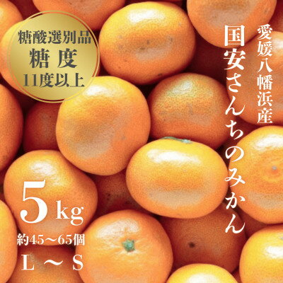 【ふるさと納税】【糖度11度以上 酸1.0以下 糖酸選別品】愛媛みかん 5kg【D20-49】【1594923】 【ふるさと納税】【糖度11度以上 酸1.0以下 糖酸選別品】愛媛みかん 5kg【D20-49】【1594923】