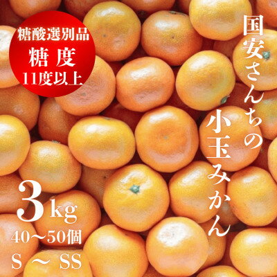 【ふるさと納税】【糖度11度以上 酸1.0以下 糖酸選別品】小玉 愛媛みかん 3kg【C20-57】【1595877】