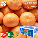 【ふるさと納税】【爽やか香りと柔らかジューシーな果肉】愛媛八幡浜産 訳あり 宮内伊予柑 5kg【C20-56】【1595886】