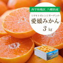 【ふるさと納税】【2025年11月より順次発送】何個でも食べられる!八幡浜産 愛媛みかん3kg【C25-175】【1604463】