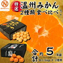 【ふるさと納税】特選温州みかん2種類食べ比べ(味ピカ・蜜る)各2.5kg×2箱【E08-94】【1604565】