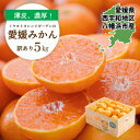 【ふるさと納税】【2025年発送】何個でも食べられる!八幡浜産 愛媛みかん5kg【訳あり】【C25-176】【1606088】