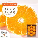 【ふるさと納税】【2025年11月より順次発送】【訳あり】紅まどんなと同品種!愛果28号 2kg【C25-179】【1606309】