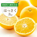 【ふるさと納税】【2026年2月以降発送】ぷりぷり!酸味さわやか 八朔(はっさく)3kg【C25-187】【1609975】