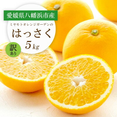 【ふるさと納税】【2026年発送】ぷりぷり!酸味さわやか 八朔(はっさく) 5kg【訳あり】【C25-188】【1609989】