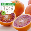 【ふるさと納税】【2026年発送】愛媛県八幡浜市産 ブラッドオレンジ(タロッコ)5kg【訳あり】【C25-190】【1610024】