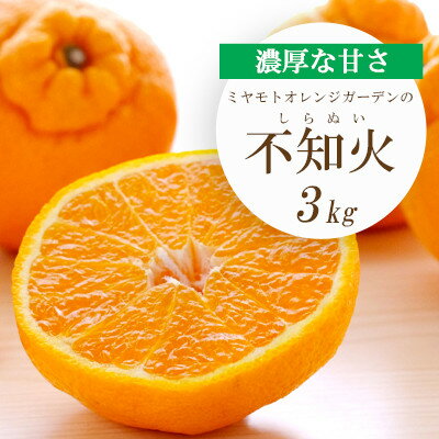 【ふるさと納税】【2026年2月以降発送】デコポンと同品種 濃厚柑橘 不知火(しらぬい) 3kg【C25-203】【1612369】