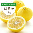 【ふるさと納税】【2026年2月以降発送】すっきり甘い!愛媛県八幡浜市産はるか 3kg【C25-204】【1612464】