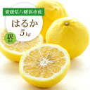 【ふるさと納税】【2026年2月以降発送】すっきり甘い!愛媛県八幡浜市産はるか 5kg【訳あり】【C25-205】【1612466】
