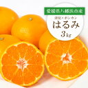 【ふるさと納税】【2026年2月より順次発送】愛媛県八幡浜市産 はるみ3kg【C25-208】【1612537】