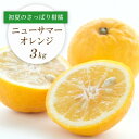 【ふるさと納税】ワタまでおいしい!愛媛県八幡浜市産 ニューサマーオレンジ 3kg【C25-212】【1612591】