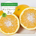 【ふるさと納税】【2026年3月以降発送】さっぱりみずみずしいサンフルーツ(甘夏)5kg【訳あり】【C25-214】【1612630】