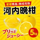 【ふるさと納税】河内晩柑5kg【訳あり】【A31-50】【配送不可地域:離島】【1613967】