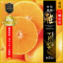 【ふるさと納税】極撰柑橘【雅プレミアム】糖度保証・光センサー 合格品「 マドンナ 」約2キロ【D39-61】【配送不可地域:離島】【1614244】