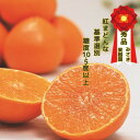 【ふるさと納税】【12月より順次発送】紅まどんな同品種 みさき果樹園の愛まどんな1.5kg【D21-38】【1614782】