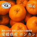 【ふるさと納税】創業百八年 愛媛みかんの老舗【ポンカン 3kg】家庭用【新口農園】【C70-64】【1614988】