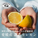 【ふるさと納税】【訳あり】愛媛レモン 3kg【防腐剤・ワックス不使用】新口農園【B70-65】【1615001】
