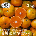 【ふるさと納税】創業百八年 愛媛みかんの老舗【極早生みかん3kg】愛媛県川上産【新口農園】【B70-66】【1615054】(4)