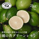 【ふるさと納税】【皮が薄くて種が少ない】璃の香グリーンレモン 2kg 愛媛県産【B70-67】【1615798】