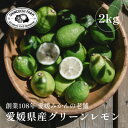 【ふるさと納税】【防腐剤・ワックス不使用】愛媛県産グリーンレモン 2kg【B70-68】【1615804】
