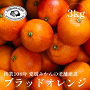 【ふるさと納税】創業百八年 愛媛みかんの老舗【ブラッドオレンジ 3kg】新口農園【C70-69】【1615814】
