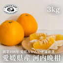 【ふるさと納税】【創業108年】愛媛みかんの老舗【河内晩柑 3kg】【新口農園】【C70-70】【1615822】
