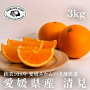 【ふるさと納税】【創業108年】愛媛みかんの老舗【清見 3kg】【C70-71】【1615835】