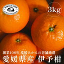 【ふるさと納税】【創業108年】愛媛みかんの老舗【伊予柑 3kg】【C70-72】【1615841】